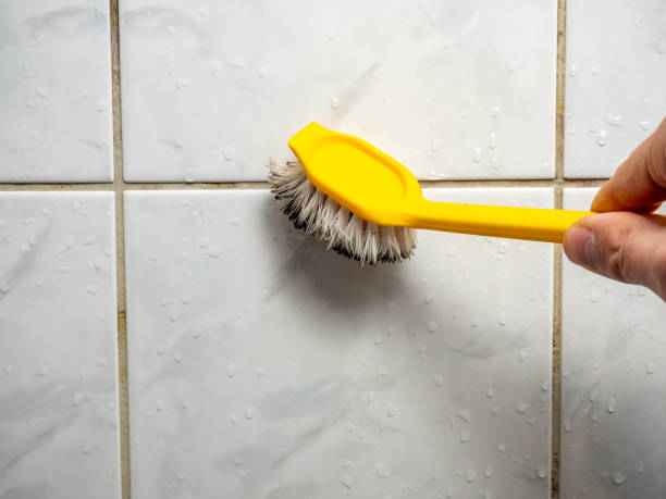 Best Commercial Mold Removal  in Trail Creek, IN